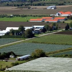 Renouvellement de l’entente sectorielle sur 3 ans : 1 125 000 $ pour soutenir le secteur agroalimentaire
